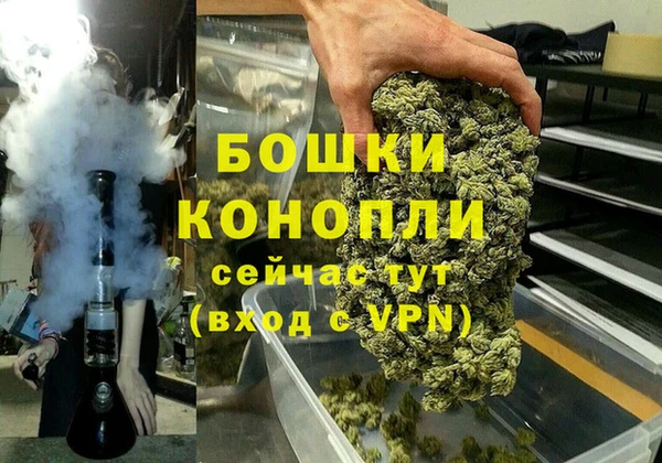 гидропоника Богданович